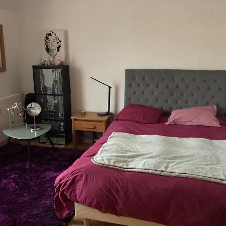 3 Chambres Chez Particulier Pour Les 24H Du Mans Λε Μανς Εξωτερικό φωτογραφία